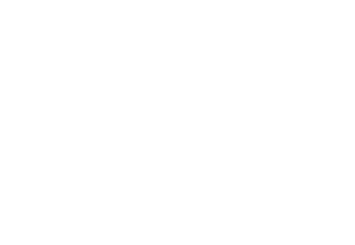 GOBE ROBOTS logo-white